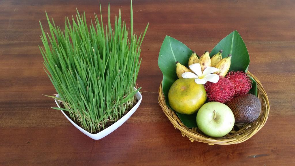 Palm Garden Bali Otel Nusa Dua  Dış mekan fotoğraf